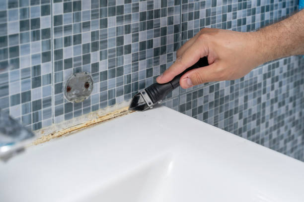 Best White Mold Remediation in Chicopee, MA